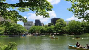 観光スポット / 3