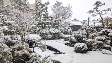 日本庭園 / 21