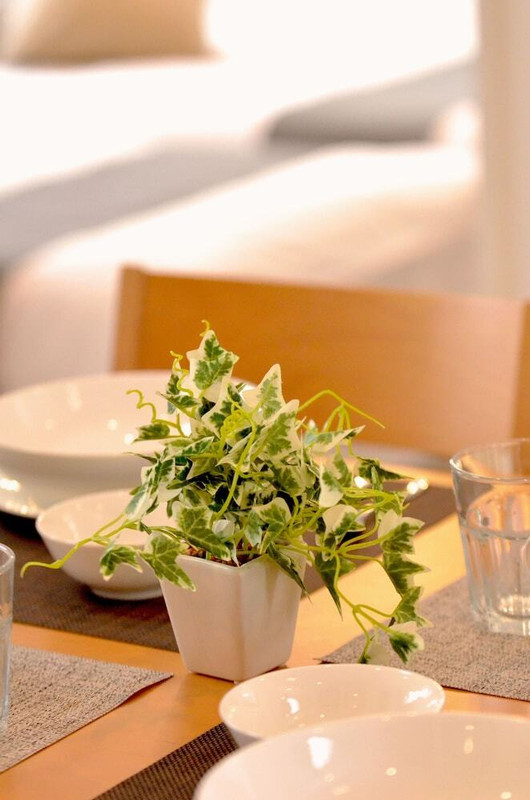 客室の設備とサービス