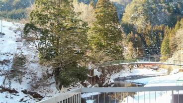 ランド ビュー / 38