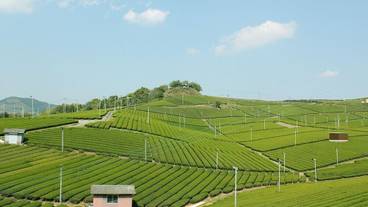 観光スポット / 4