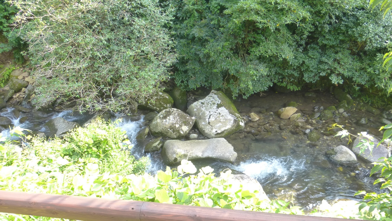 しいばの湯横の渓流