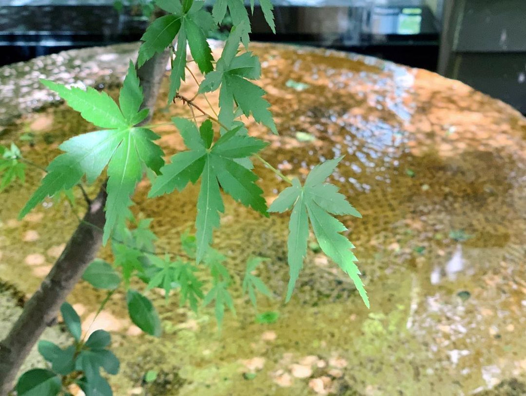 etchan_simosimoさんの写真 / 1