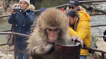 観光スポット / 4