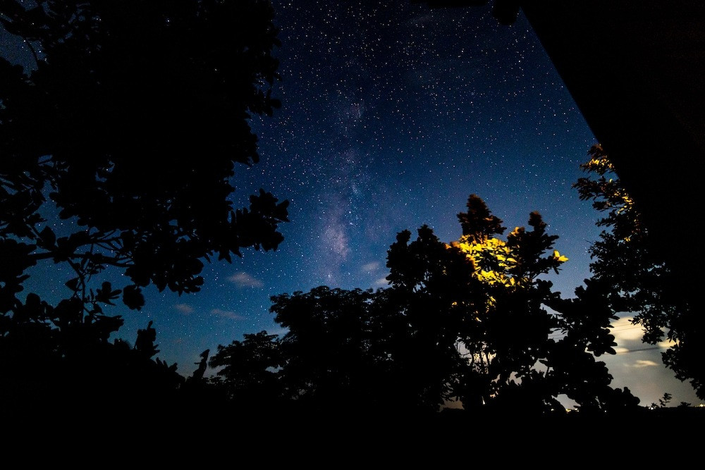 施設からの眺望