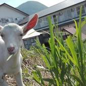 ちきちきばんばん（長野県 ペンション） / 3