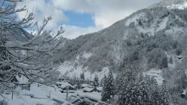 施設の敷地 / 17