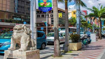 観光スポット / 14