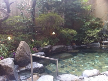 「白石家」 内観 17888896 