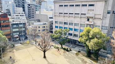 シティ ビュー / 8