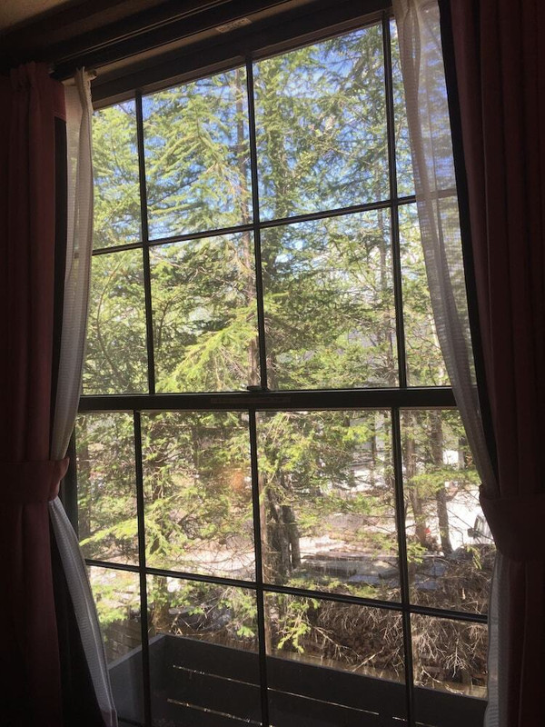 コートヤード ビュー