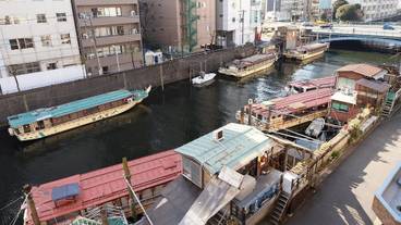 施設からの眺望 / 27