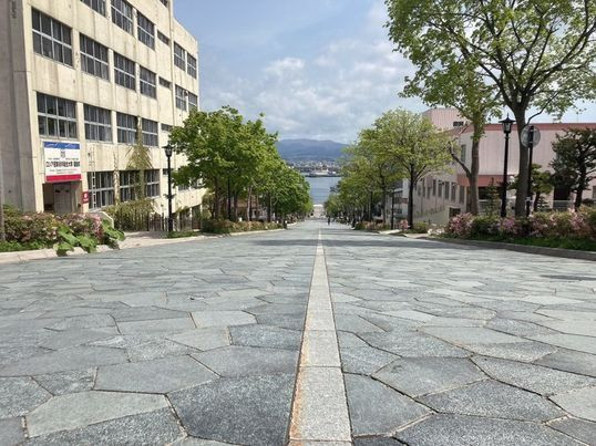 ma_yadologさんの写真 / 1