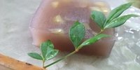 城下町「萩」の古い町並みに癒されへ。おすすめカフェ5選