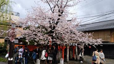 観光スポット / 33