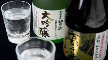 食事・飲み物 / 16