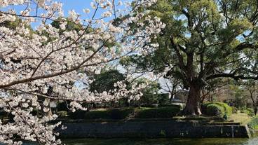 ランド ビュー / 36