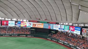 観光スポット / 7