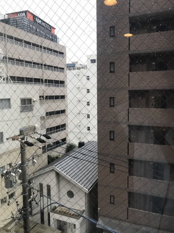 部屋からの眺め