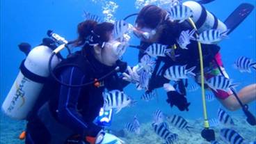 スポーツ設備 / 1