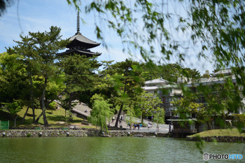 3229550, the ancient capital of Nara, where the entire town is full of charm in 360 degrees