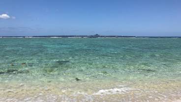 観光スポット / 9