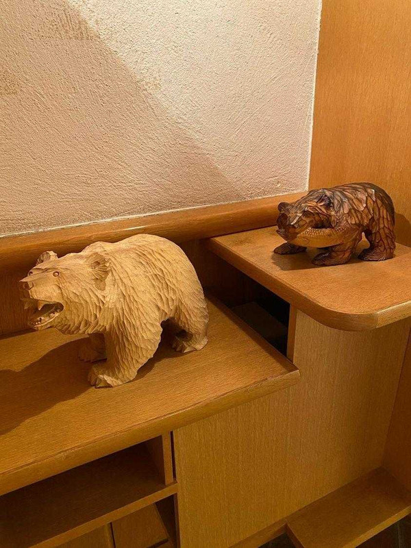 zonomeguさんの写真 / 5