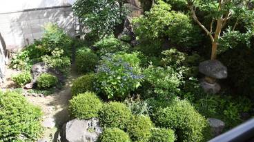 部屋からの景観 / 35