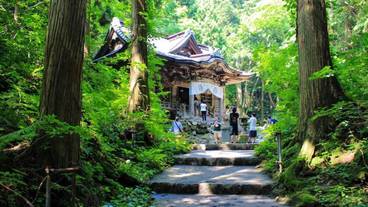 施設の敷地 / 32