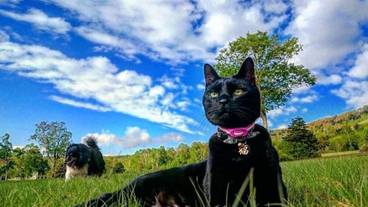 施設の敷地 / 12