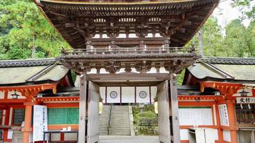 観光スポット / 9