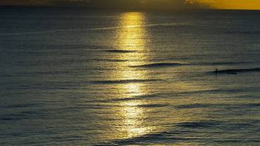 ビーチ / オーシャン ビュー / 31