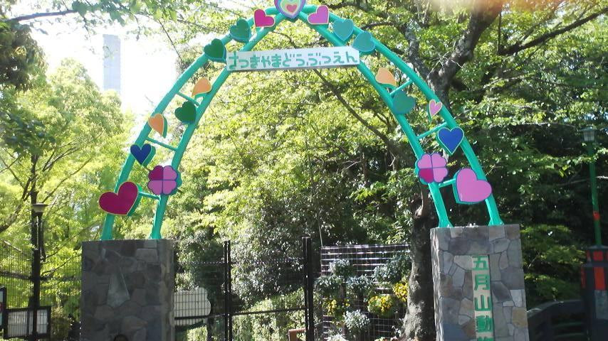 3.動物たちに癒される「五月山動物園(池田市)」1937655