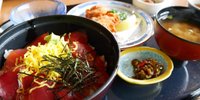 みさきまぐろきっぷで周ろう！三崎港周辺のオススメスポット10選