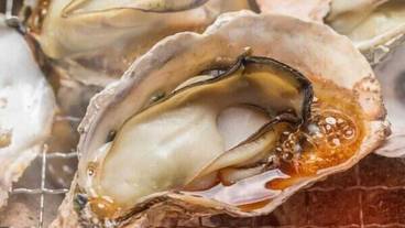 食事・飲み物 / 9