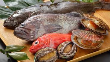 食事・飲み物 / 19