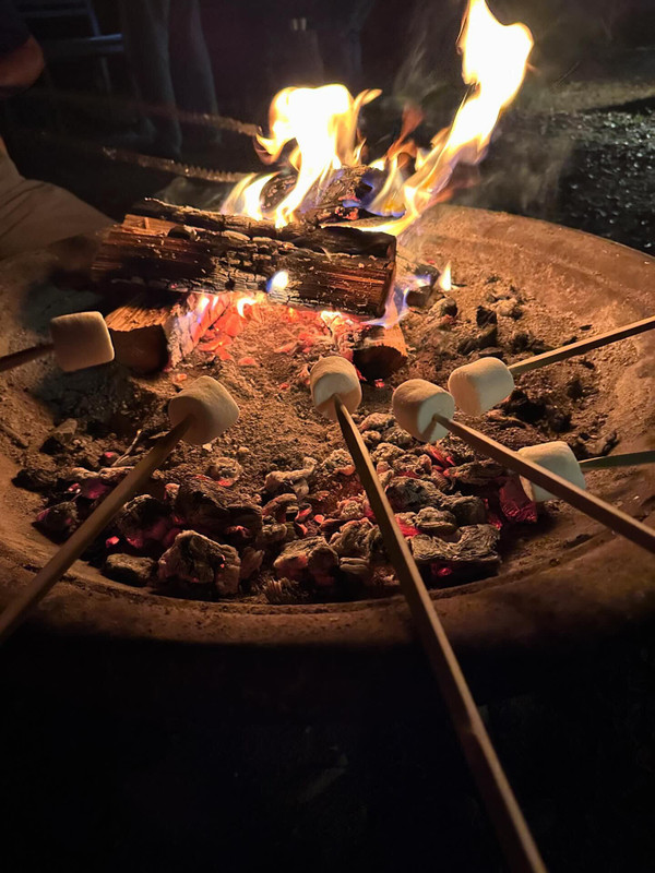 yu_kimama_lifeさんの写真 / 1