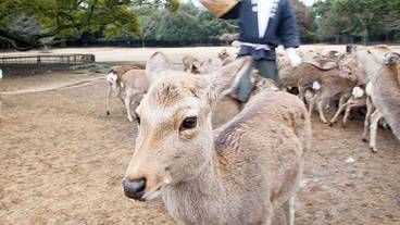 施設からの眺望 / 26