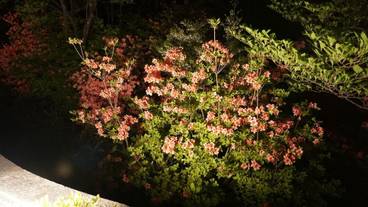 施設からの眺望 / 28