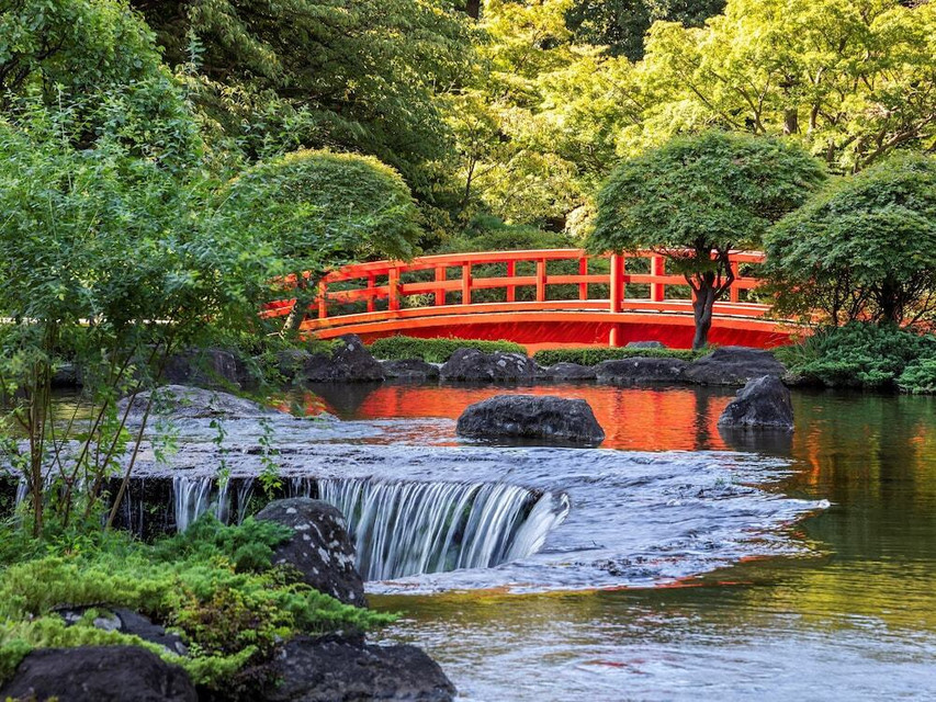 日本庭園(2)