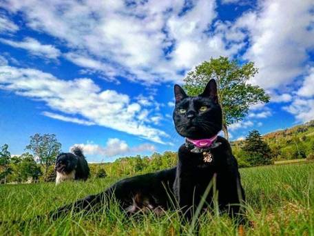 シルバー志賀 / 5