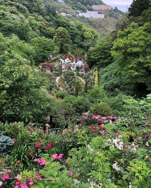 erinko0313さんの写真 / 1