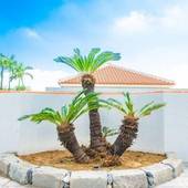 THE MIYARA GARDEN(ザミヤラガーデン)(沖縄県 別荘・ヴィラ・コンドミニアム) / 5