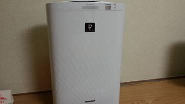 客室の設備とサービス / 31