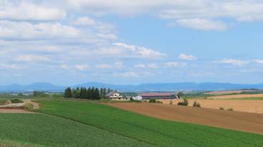 ランド ビュー / 16