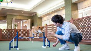 ペット用設備・サービス / 3