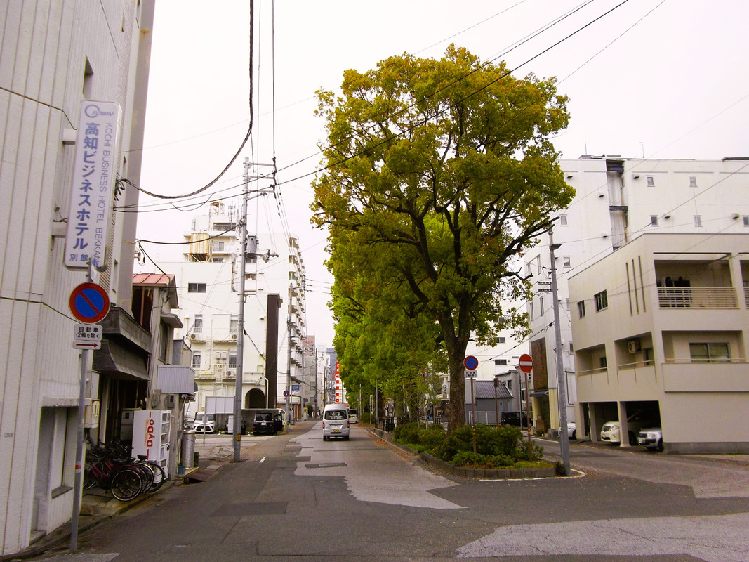 通りを境に与力町です