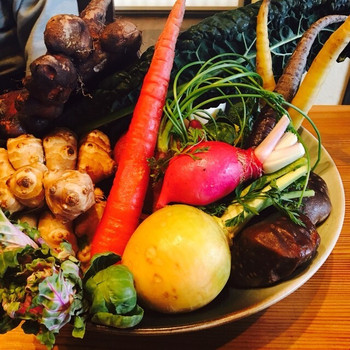 「五條　源兵衛」 料理 63119417 