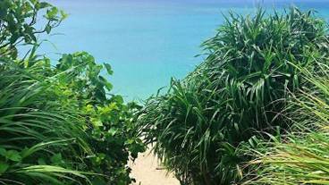 ビーチ / オーシャン ビュー / 6