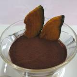 八ヶ岳グレイスホテル（ヤツガタケグレイスホテル）